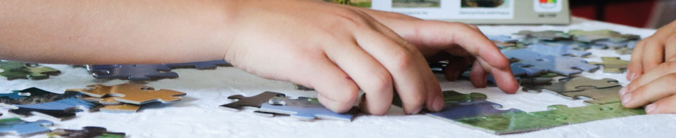 Puzzles Adulto de 500 a 1000 Piezas - Toyng Chile