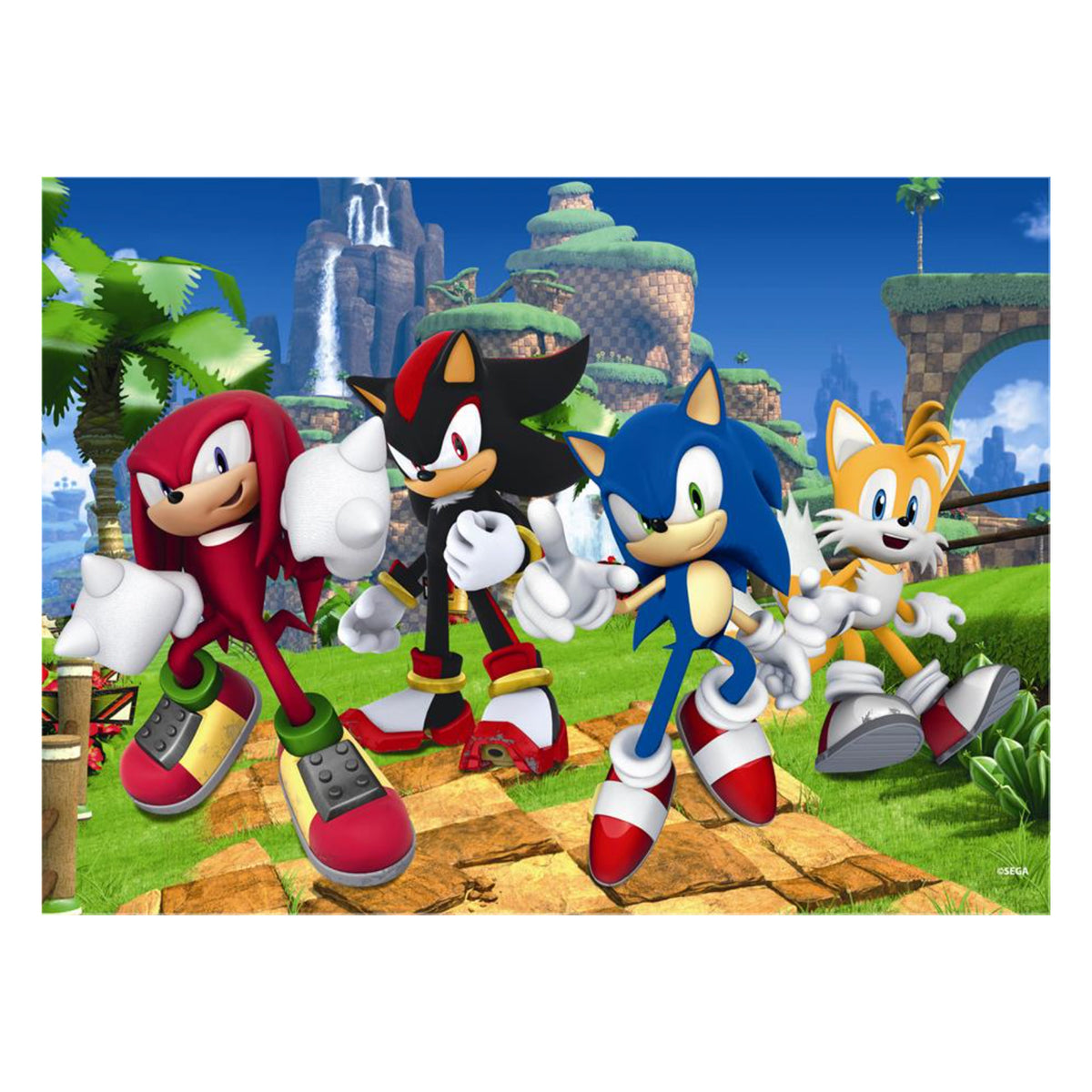 Puzzle 100 Piezas Sonic