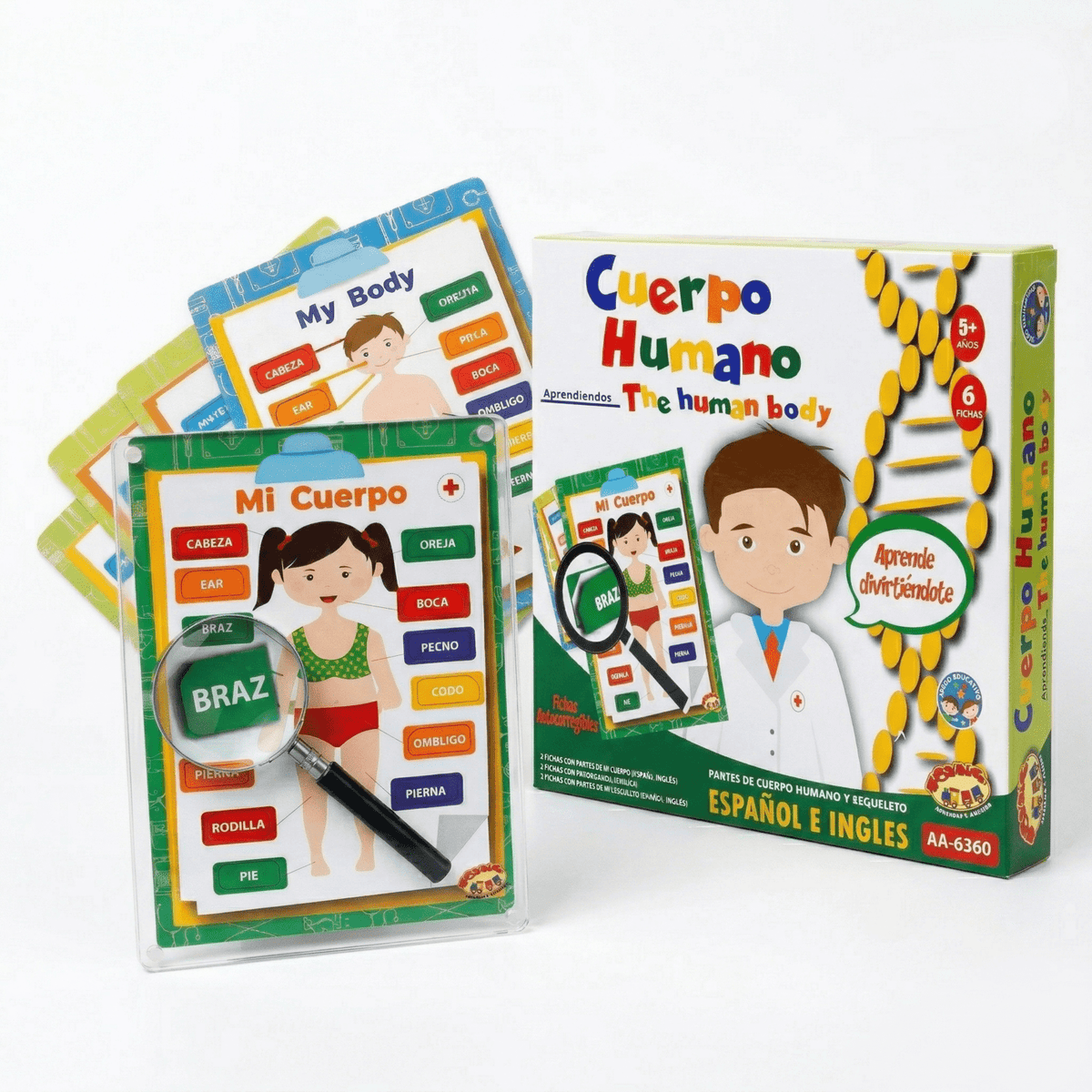 Juego Educativo Cuerpo Humano - Toyng - Toyng Chile