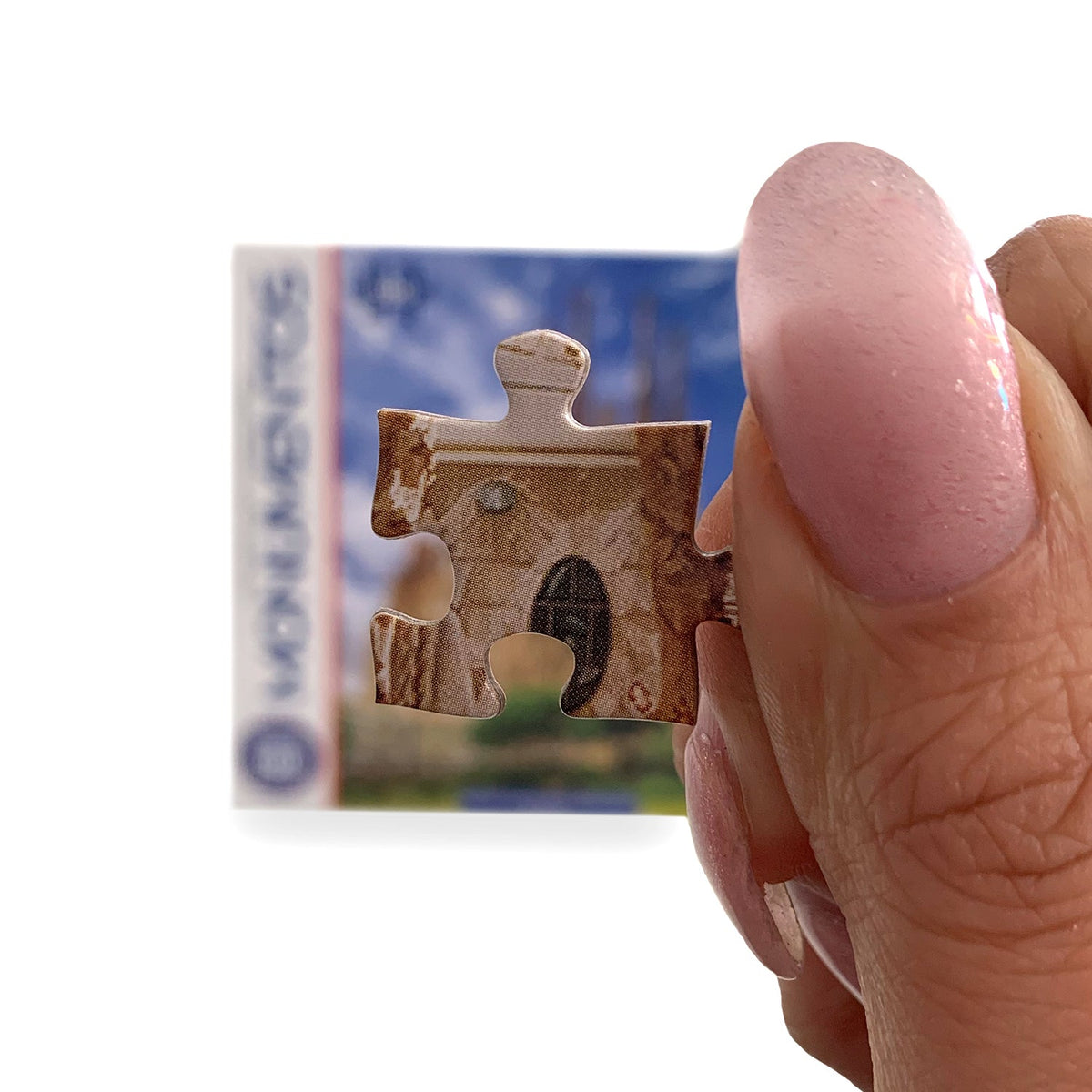 Puzzle Basílica De La Sagrada Familia (500 Piezas) - Toyng - Toyng Chile