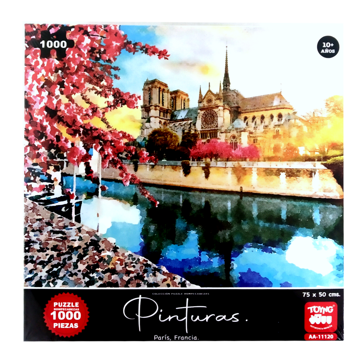 Puzzle 1000 Piezas Paris