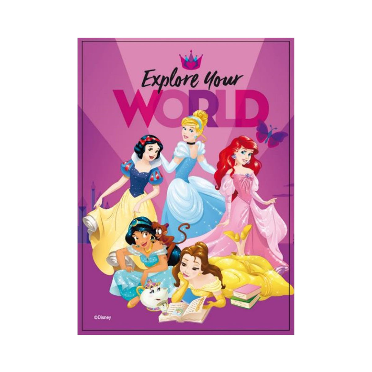 PUZZLE ESFERA 50 PCS PRINCESAS